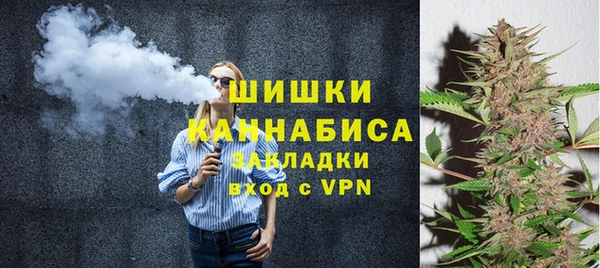 индика Богородицк