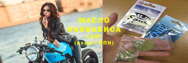 индика Богородицк