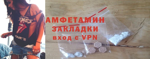 индика Богородицк
