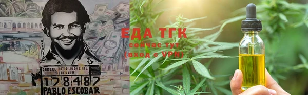 индика Богородицк