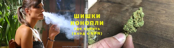 индика Богородицк
