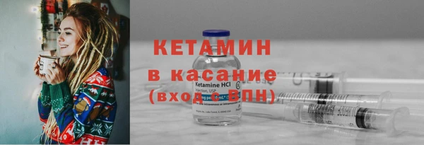 индика Богородицк