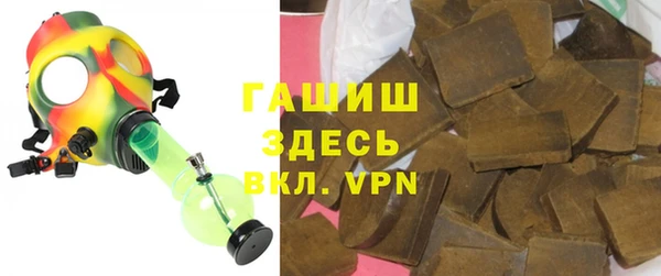 индика Богородицк