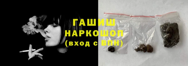 индика Богородицк