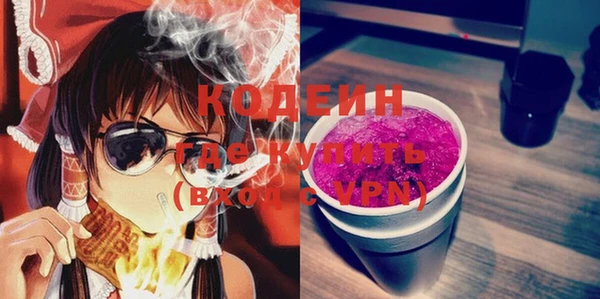 индика Богородицк