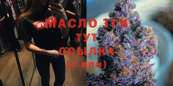 индика Богородицк