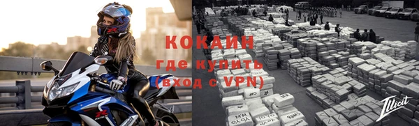 индика Богородицк