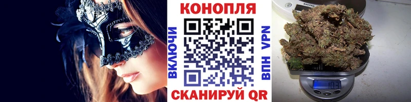 Купить где  Советск  Конопля VHQ 